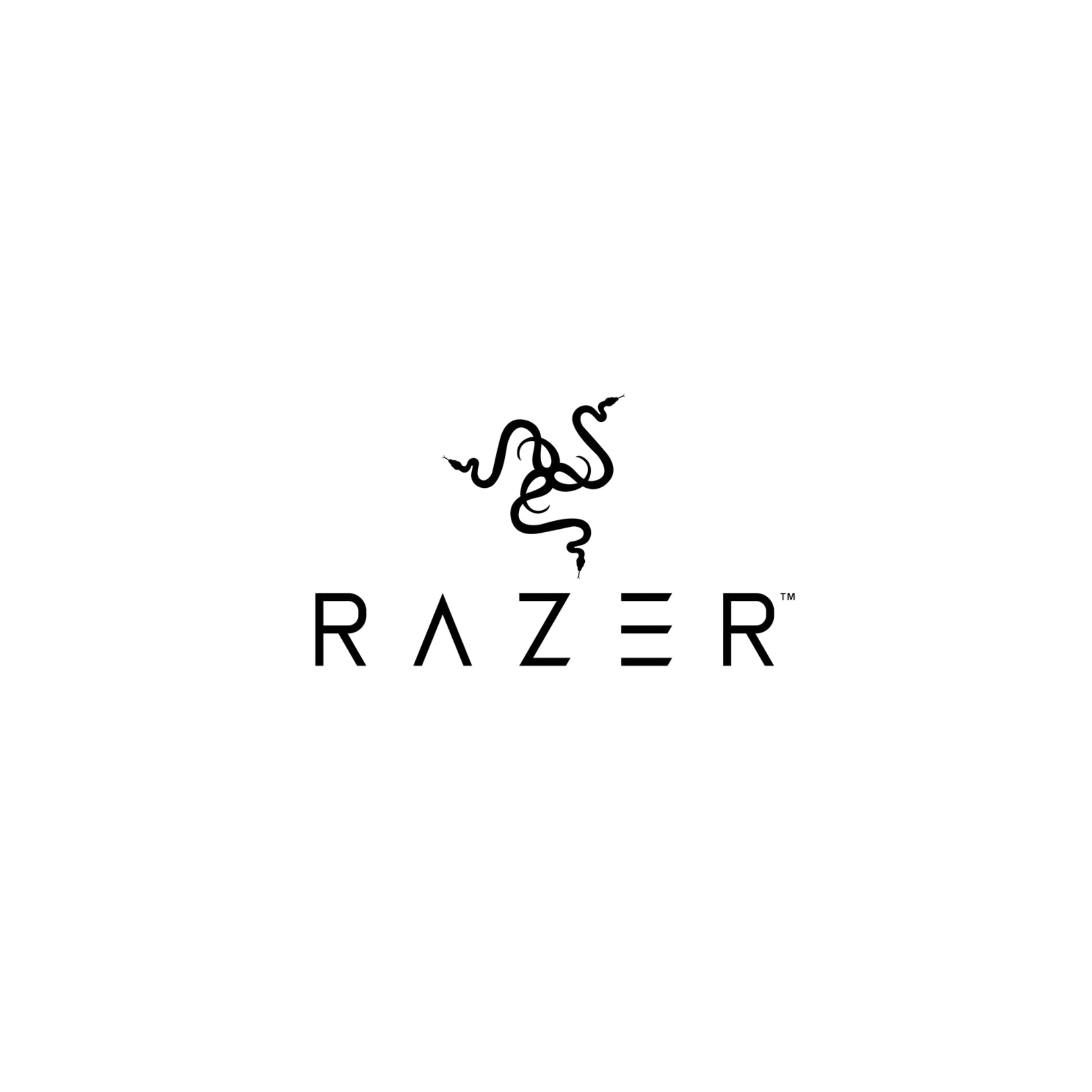 Das ist eine Abbildung von dem Razer Logo.